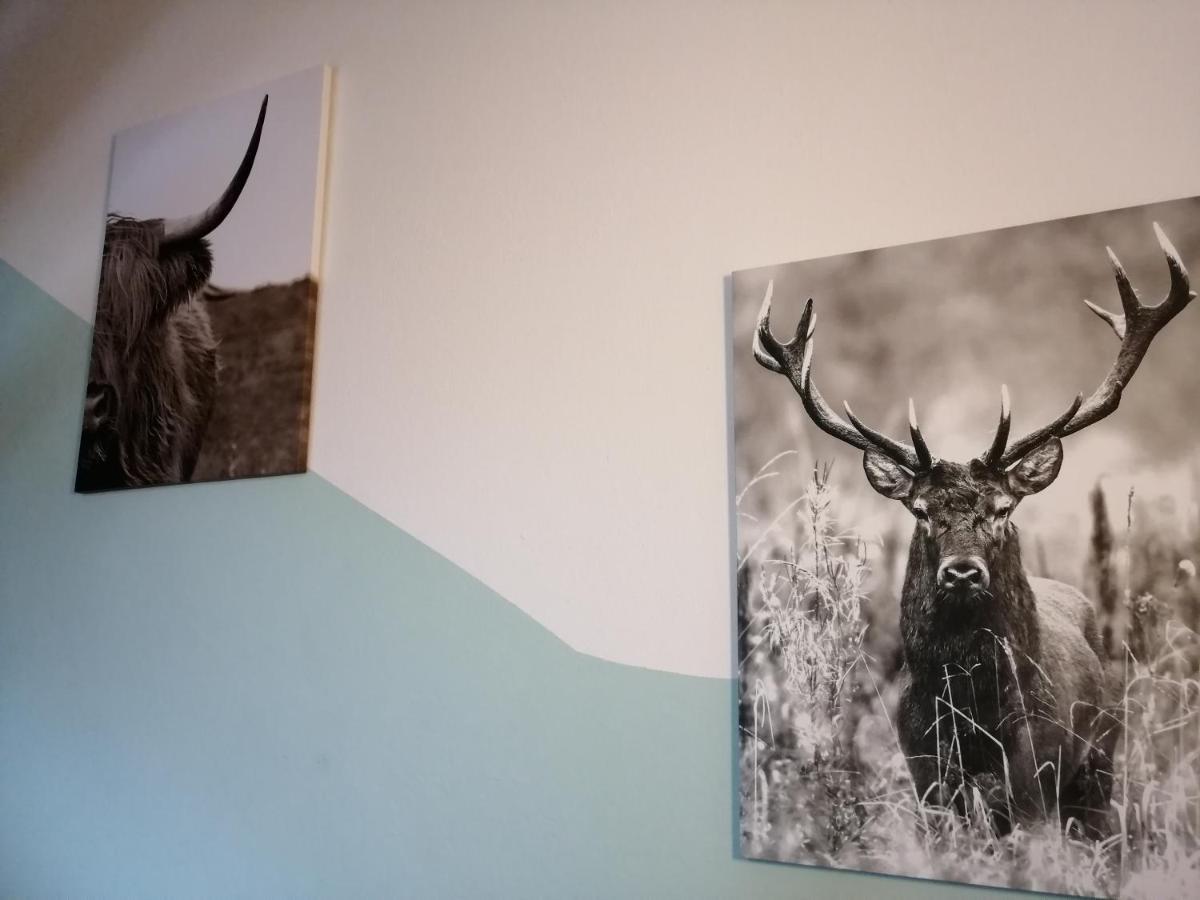 Pension Arkadenhof Fürstenfeld Exteriér fotografie
